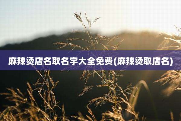麻辣烫店名取名字大全免费(麻辣烫取店名)
