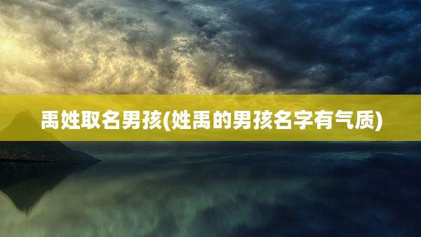 禹姓取名男孩(姓禹的男孩名字有气质)