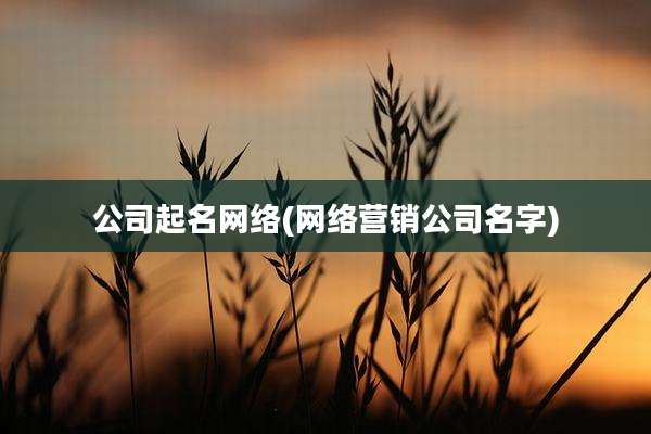 公司起名网络(网络营销公司名字)