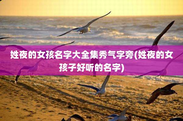 姓夜的女孩名字大全集秀气字旁(姓夜的女孩子好听的名字)