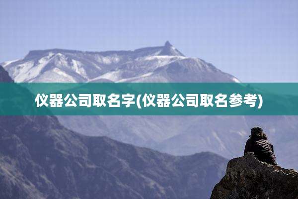 仪器公司取名字(仪器公司取名参考)