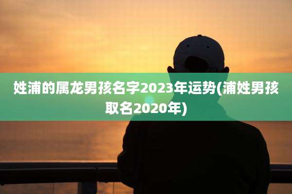 姓浦的属龙男孩名字2023年运势(浦姓男孩取名2020年)