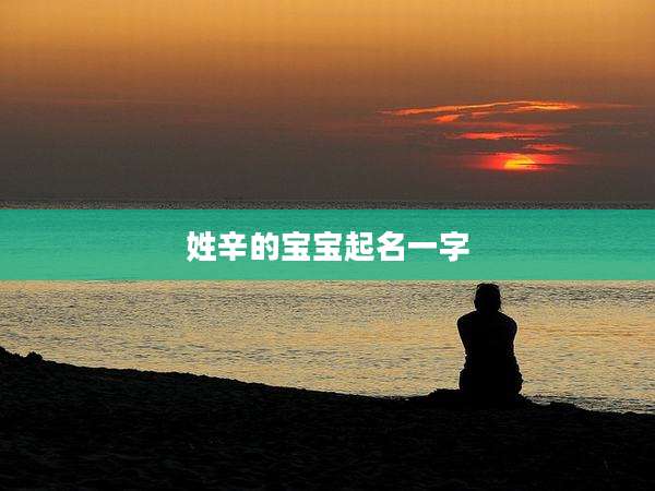 姓辛的宝宝起名一字