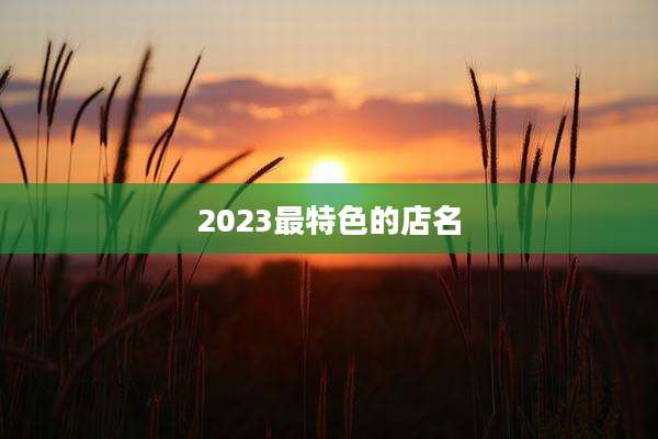 2023最特色的店名