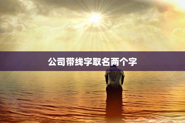 公司带线字取名两个字