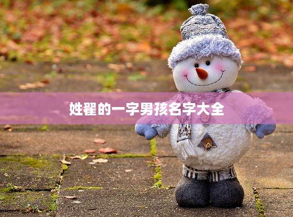 姓翟的一字男孩名字大全