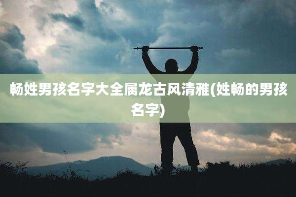 畅姓男孩名字大全属龙古风清雅(姓畅的男孩名字)