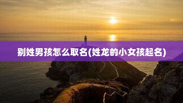 别姓男孩怎么取名(姓龙的小女孩起名)