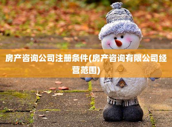 房产咨询公司注册条件(房产咨询有限公司经营范围)