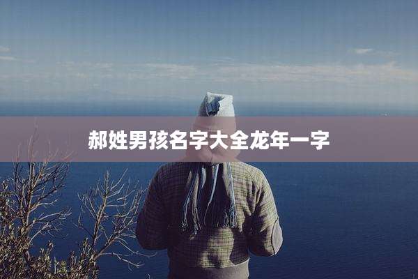 郝姓男孩名字大全龙年一字