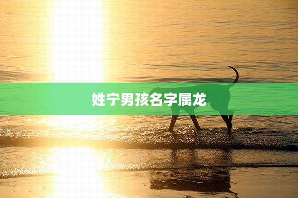 姓宁男孩名字属龙