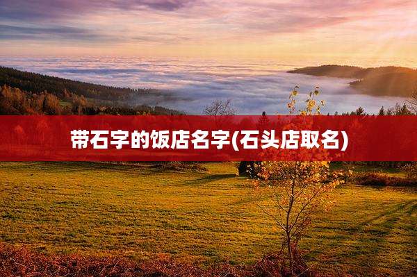带石字的饭店名字(石头店取名)