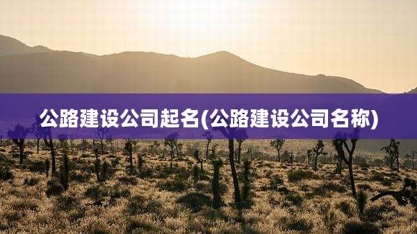 公路建设公司起名(公路建设公司名称)