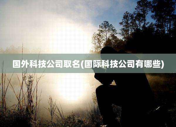 国外科技公司取名(国际科技公司有哪些)