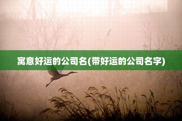 寓意好运的公司名(带好运的公司名字)