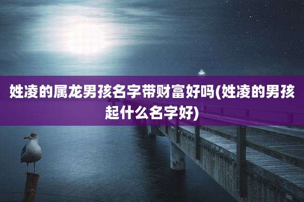 姓凌的属龙男孩名字带财富好吗(姓凌的男孩起什么名字好)