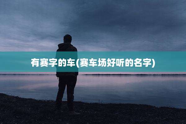有赛字的车(赛车场好听的名字)