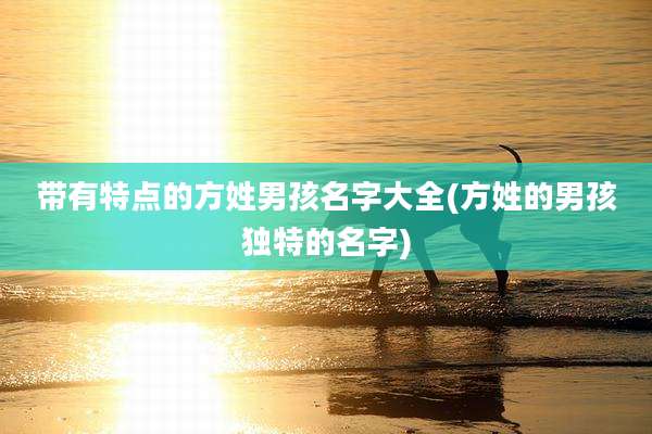 带有特点的方姓男孩名字大全(方姓的男孩独特的名字)