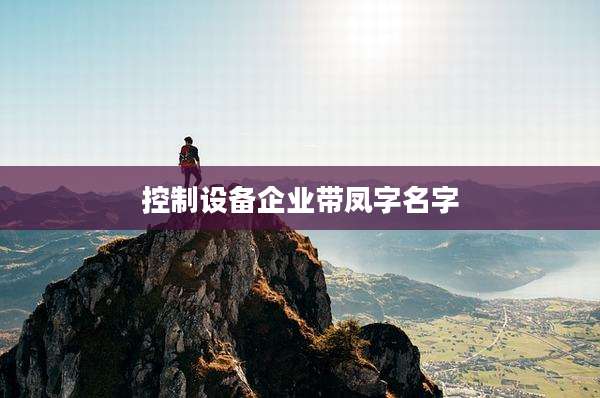 控制设备企业带凤字名字