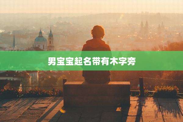 男宝宝起名带有木字旁
