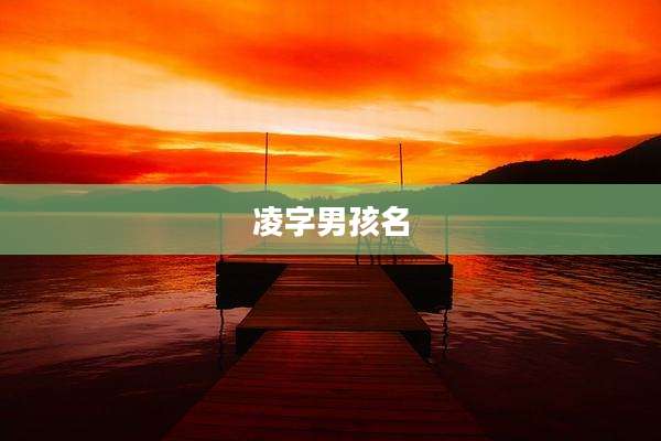 凌字男孩名