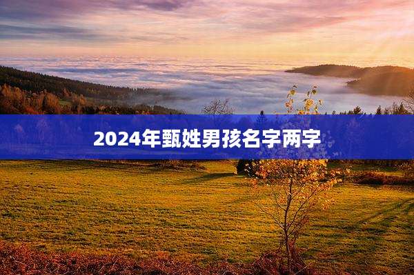 2024年甄姓男孩名字两字