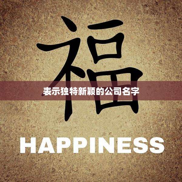 表示独特新颖的公司名字