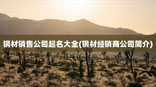 钢材销售公司起名大全(钢材经销商公司简介)