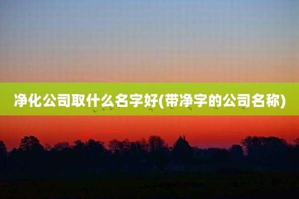 净化公司取什么名字好(带净字的公司名称)