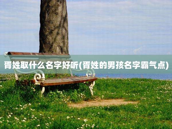胥姓取什么名字好听(胥姓的男孩名字霸气点)