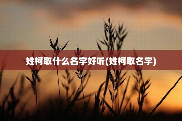 姓柯取什么名字好听(姓柯取名字)