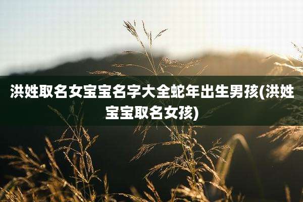 洪姓取名女宝宝名字大全蛇年出生男孩(洪姓宝宝取名女孩)