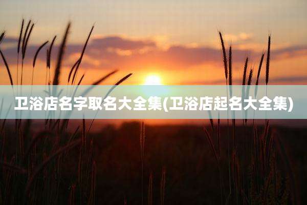 卫浴店名字取名大全集(卫浴店起名大全集)