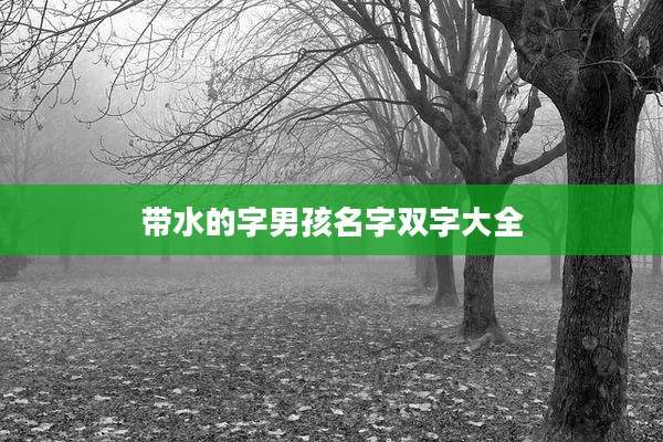 带水的字男孩名字双字大全