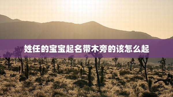 姓任的宝宝起名带木旁的该怎么起