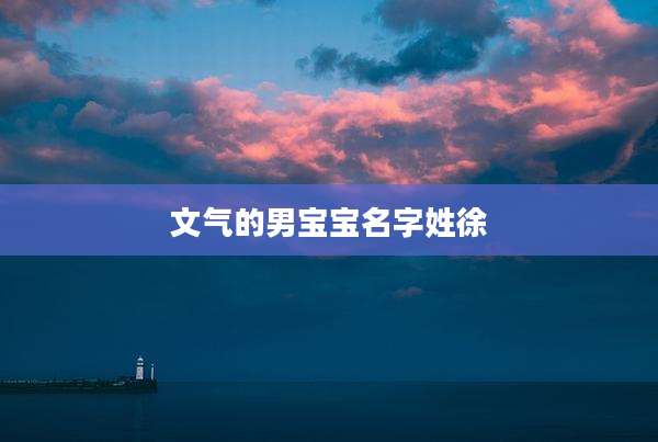 文气的男宝宝名字姓徐