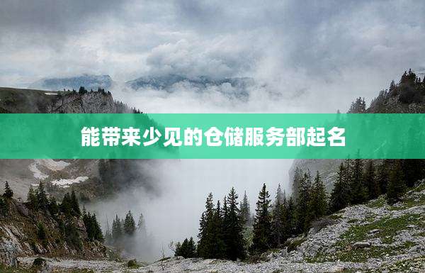 能带来少见的仓储服务部起名