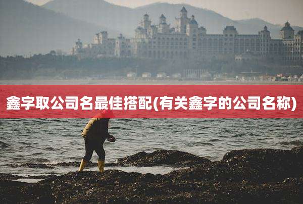 鑫字取公司名最佳搭配(有关鑫字的公司名称)