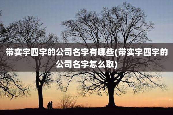 带实字四字的公司名字有哪些(带实字四字的公司名字怎么取)