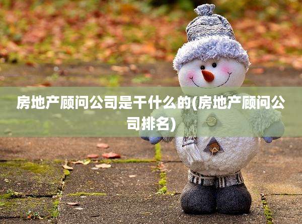 房地产顾问公司是干什么的(房地产顾问公司排名)