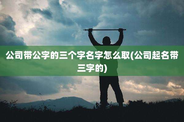 公司带公字的三个字名字怎么取(公司起名带三字的)