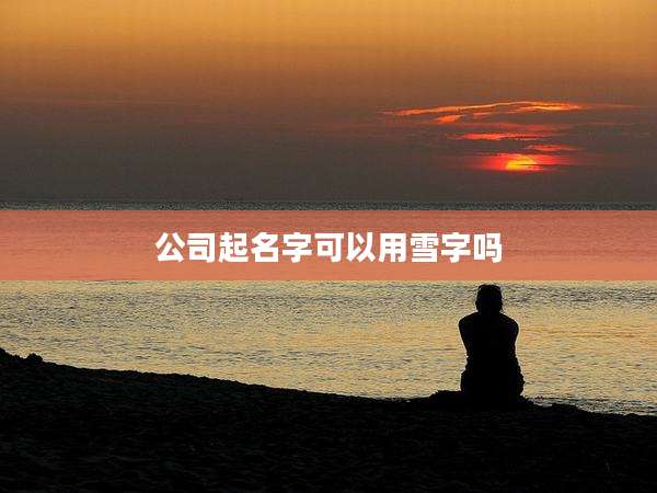 公司起名字可以用雪字吗