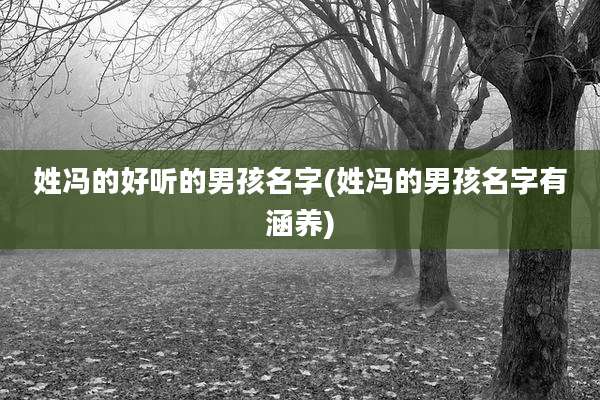 姓冯的好听的男孩名字(姓冯的男孩名字有涵养)