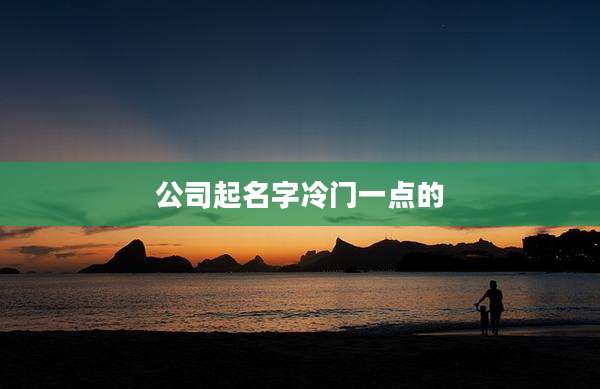 公司起名字冷门一点的