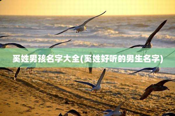 奚姓男孩名字大全(奚姓好听的男生名字)