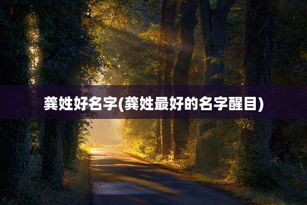 龚姓好名字(龚姓最好的名字醒目)
