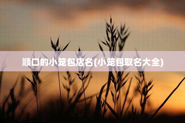 顺口的小笼包店名(小笼包取名大全)