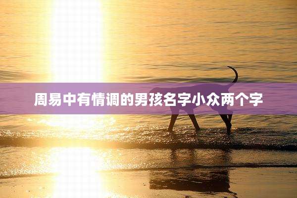 周易中有情调的男孩名字小众两个字