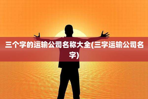 三个字的运输公司名称大全(三字运输公司名字)