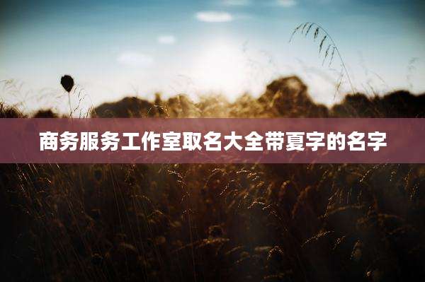 商务服务工作室取名大全带夏字的名字